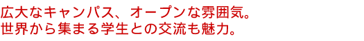 広大なキャンパス、オープンな雰囲気。世界から集まる学生との交流も魅力。